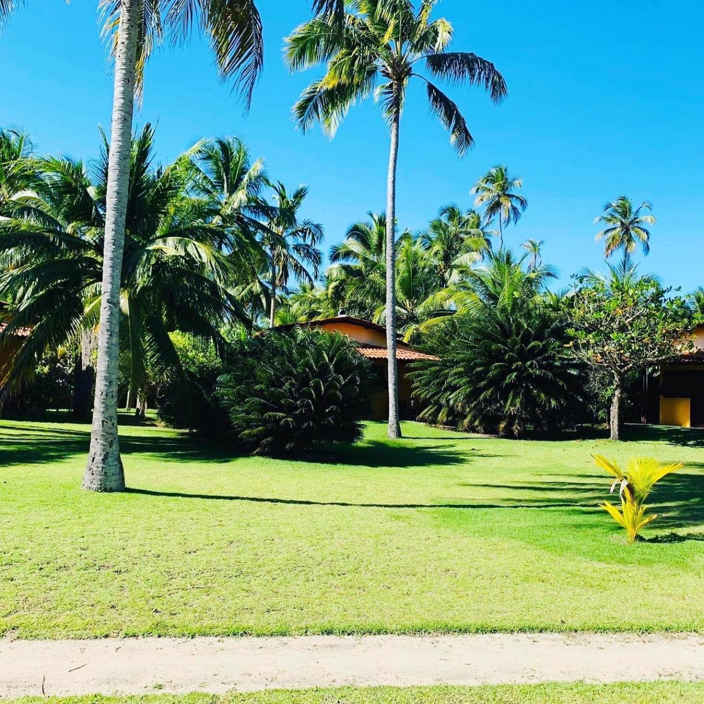 Hotel Pousada Cote Sud São Miguel dos Milagres Exterior foto